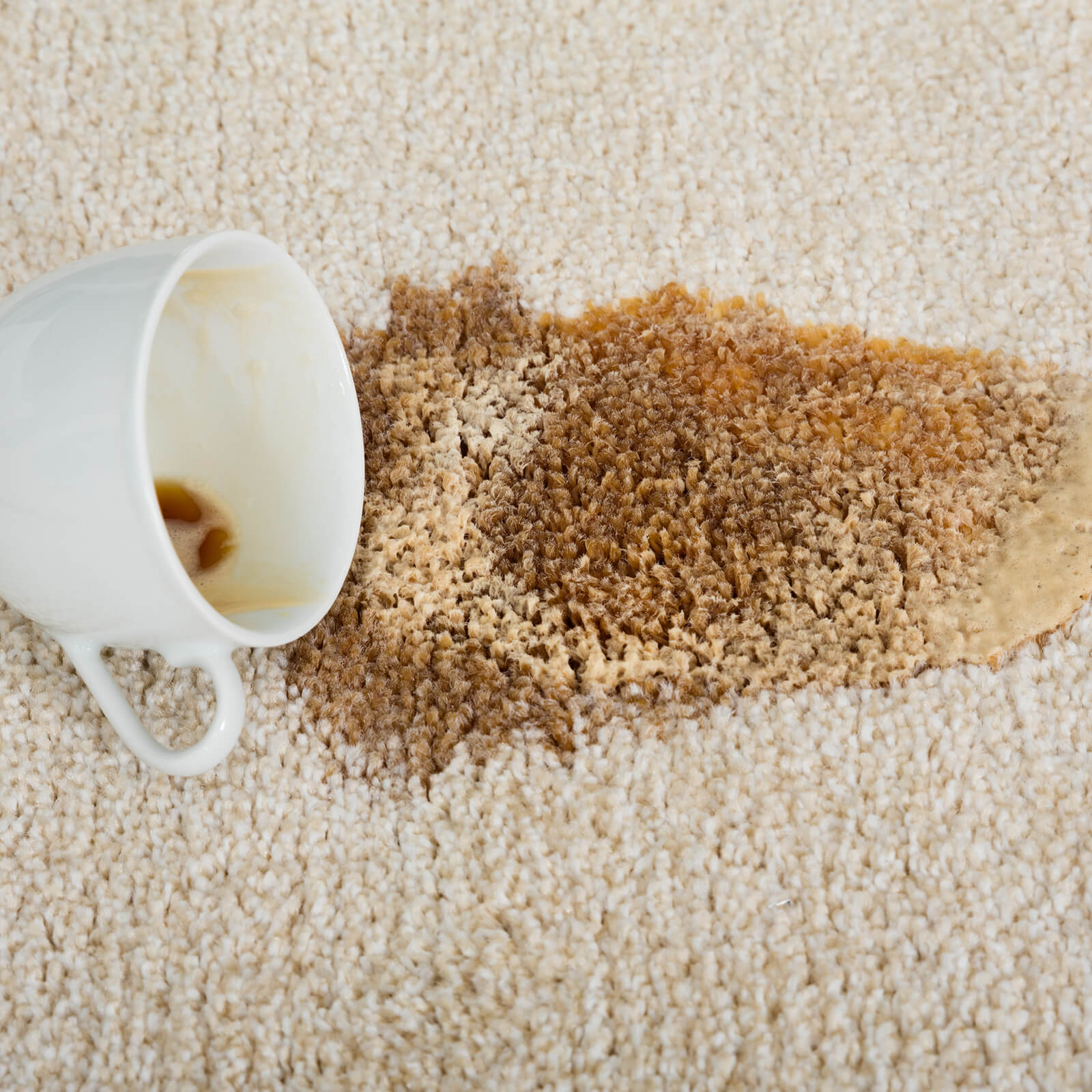 Carpet cleaning | Jabara's